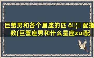 巨蟹男和各个星座的匹 🦆 配指数(巨蟹座男和什么星座zui
配对)